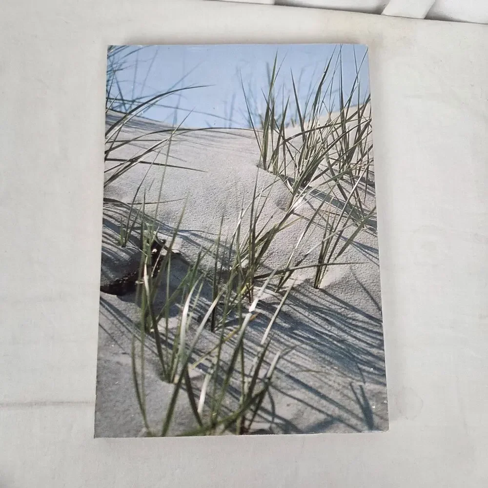 Tideland Treasure SIGNED by Todd Ballantine Naturalist Guide to Hilton Head Book